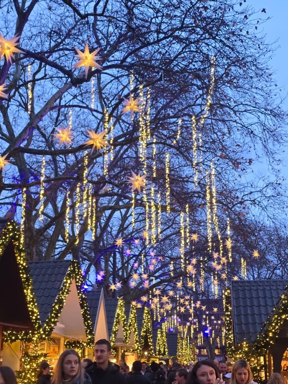 Frankfurt and Cologne festive winter scenes